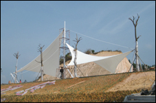 �V��ꑴ��Ǳ���ڏ���Ĥ�V��